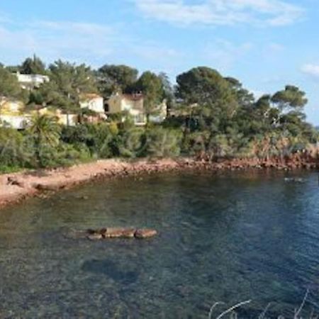 Appartement L'Evasion, Vue Mer, Plages A Pied Fréjus Zewnętrze zdjęcie