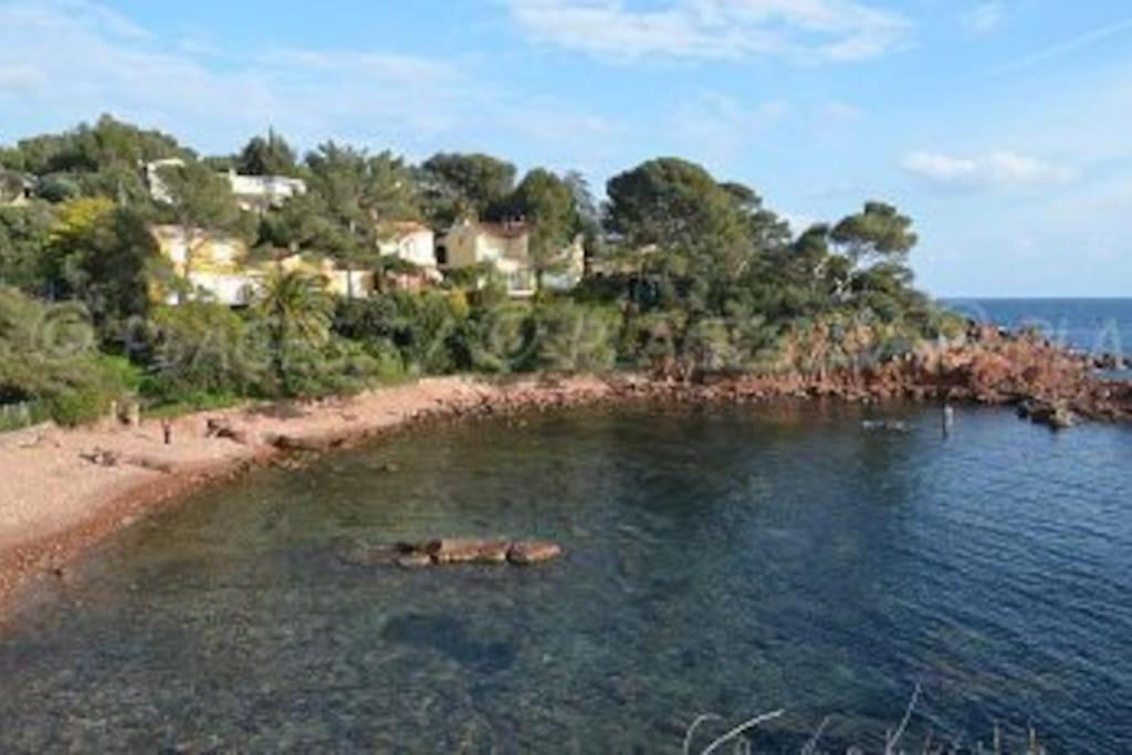 Appartement L'Evasion, Vue Mer, Plages A Pied Fréjus Zewnętrze zdjęcie